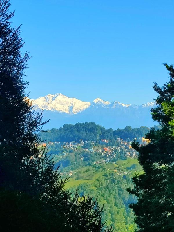 The Himalayan Workation - image 13