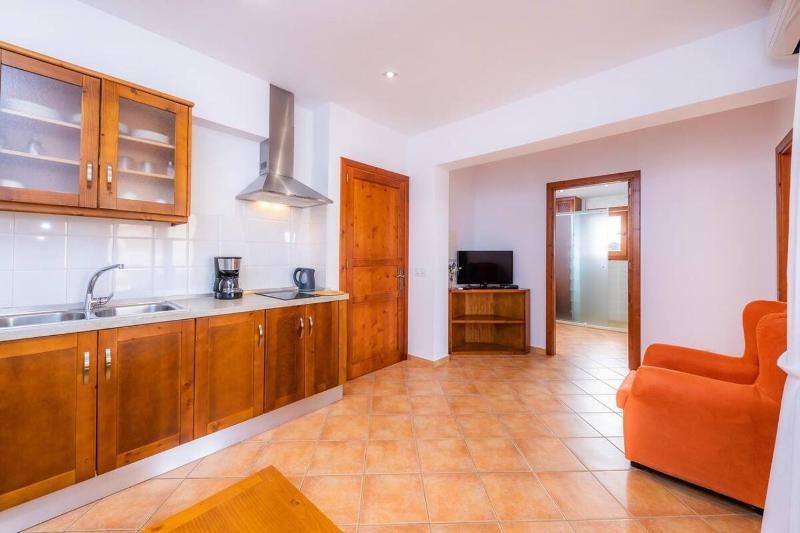 One-Bedroom Apartment with Terrace image 4