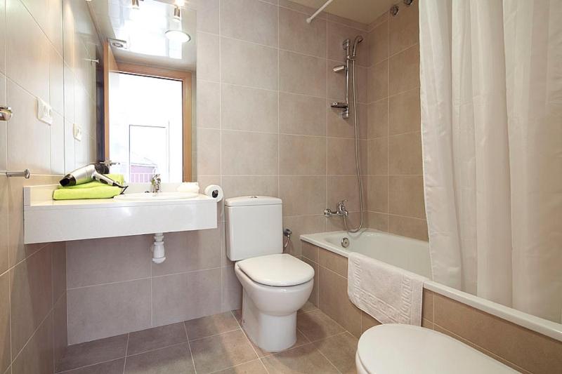 One-Bedroom Apartment image 4