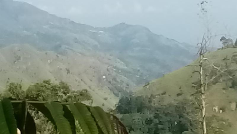 Apurvi Homestay - image 13