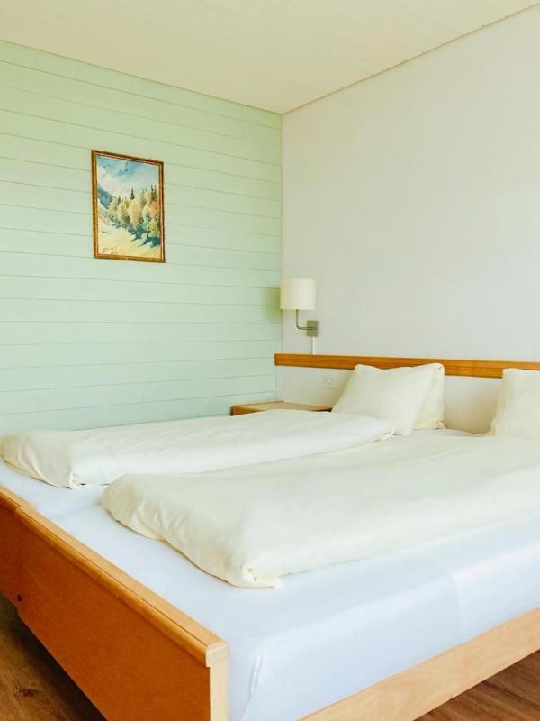 Comfort Double Room with Mountain View image 1