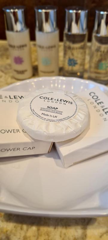 Garden Room Twin (Pet- Friendly) image 3