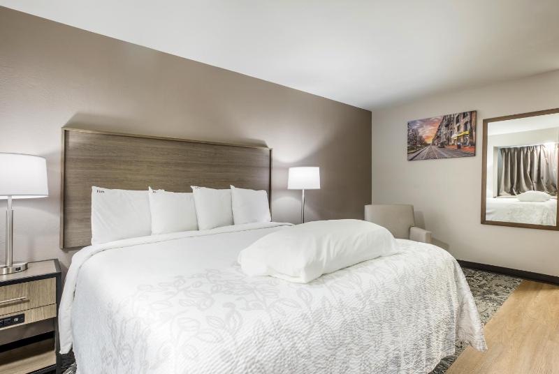 Premium King Room Smoke Free (Upgraded Bedding and Snack Box) image 1