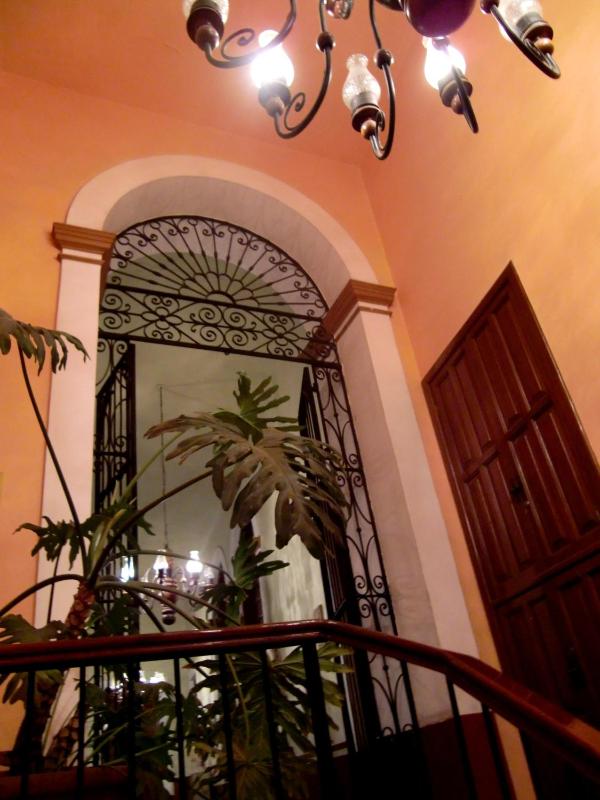 Hotel San Francisco Plaza - image 6