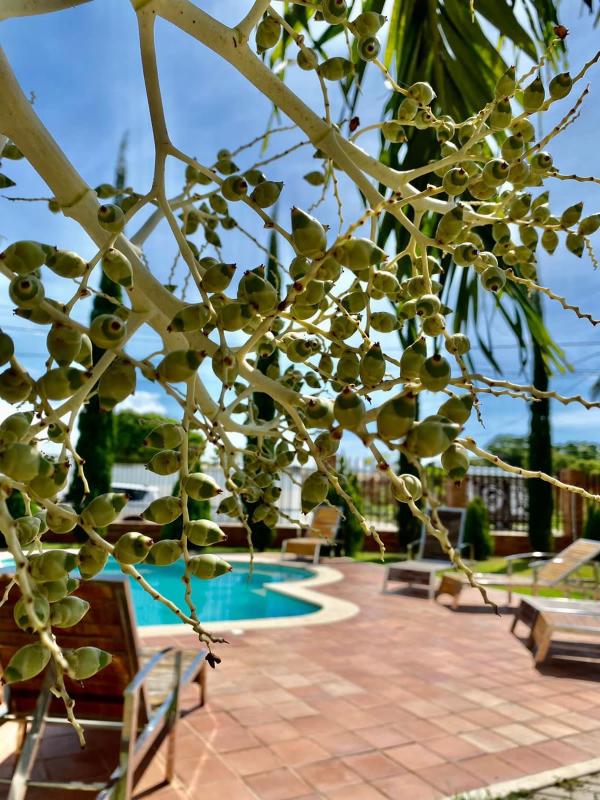 Vila Miola Hotel - image 31