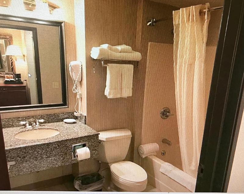 King Suite - Non-Smoking image 4