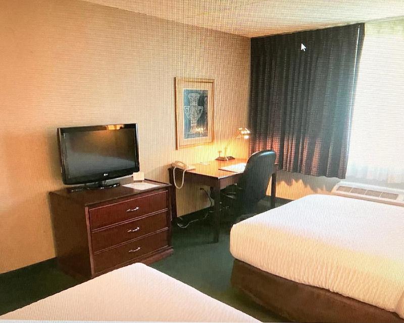 Business Double Room with Two Double Beds image 3