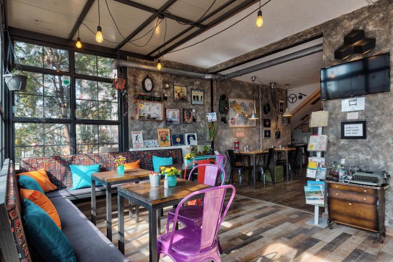 Single Bed in Mixed Dormitory Room image 2