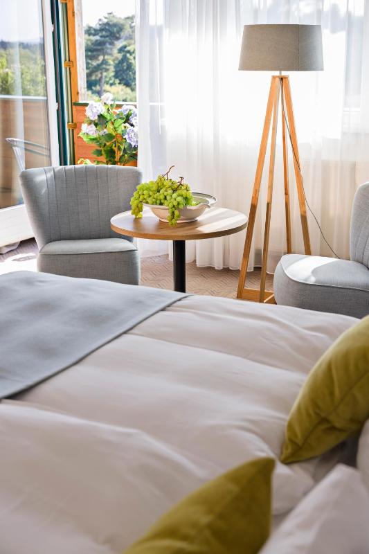 Superior Double Room image 3