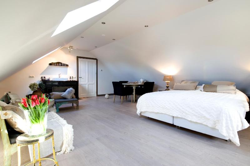 Deluxe King Suite image 4