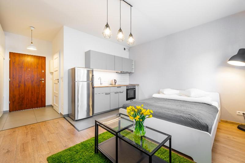 Studio Apartment - ul.Francuska 100A/9 image 1