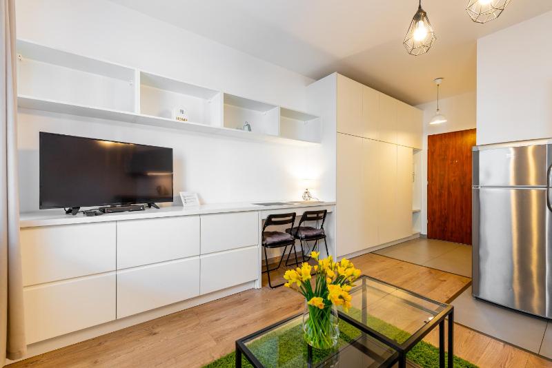 Studio Apartment - ul.Francuska 100A/9 image 4