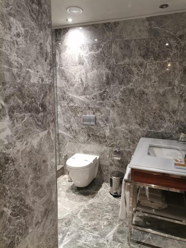 Superior Suite with Sea View image 4