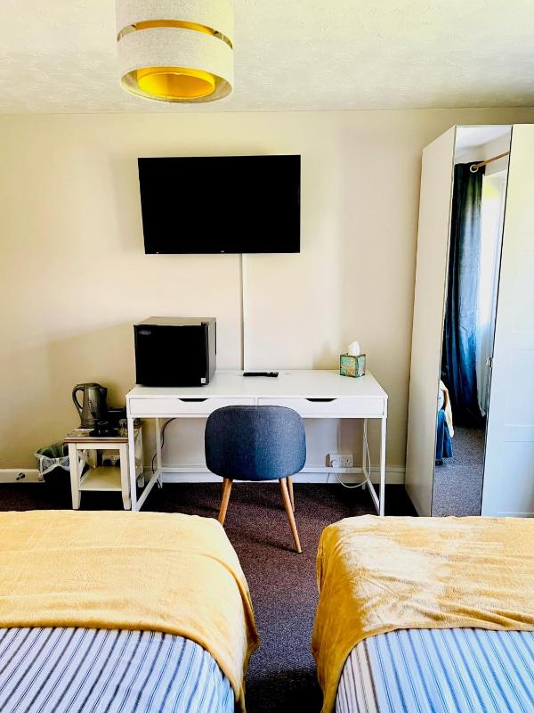 Large Twin Room image 2