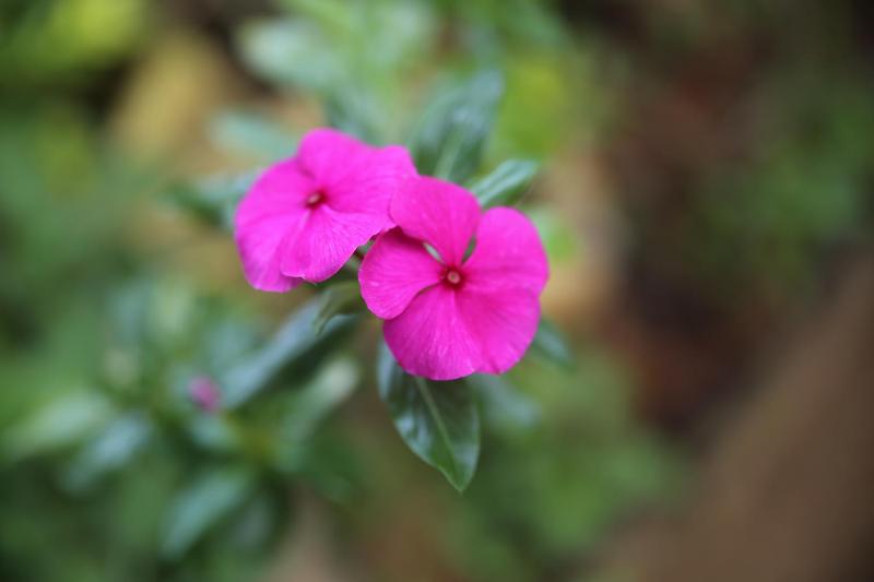 Cool Breeze View - image 3