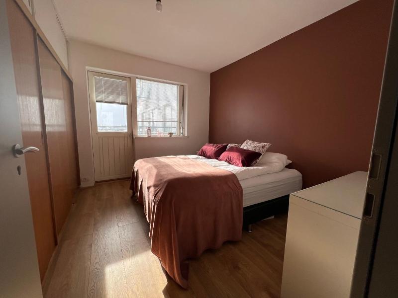 JM Cozy two bedroom apartment - image 11