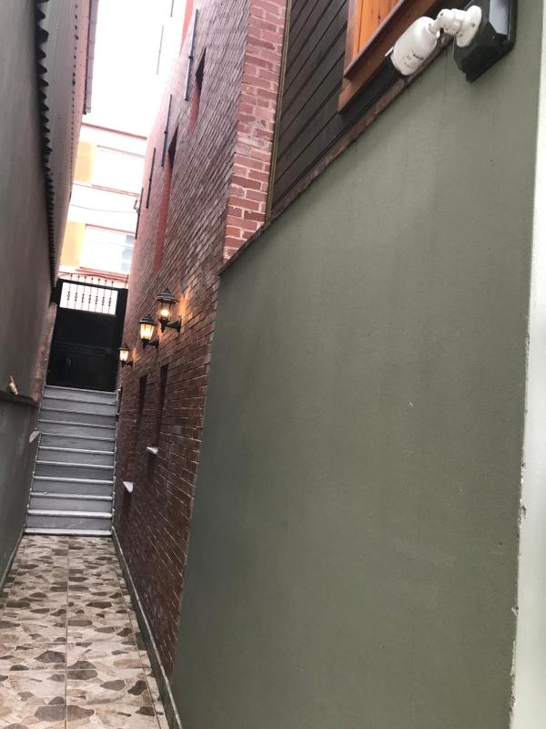 Green Mansion - image 10