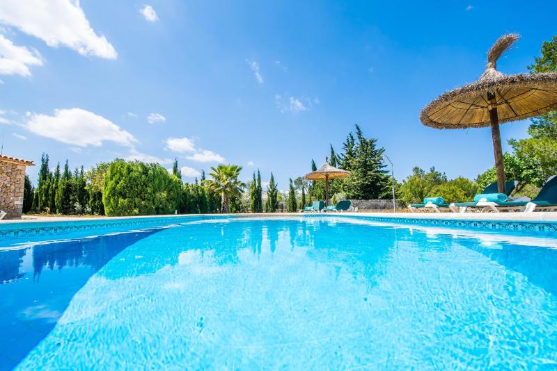 Ideal Property Mallorca - La Caseta - image 16