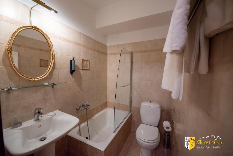 Standard Twin Room image 2
