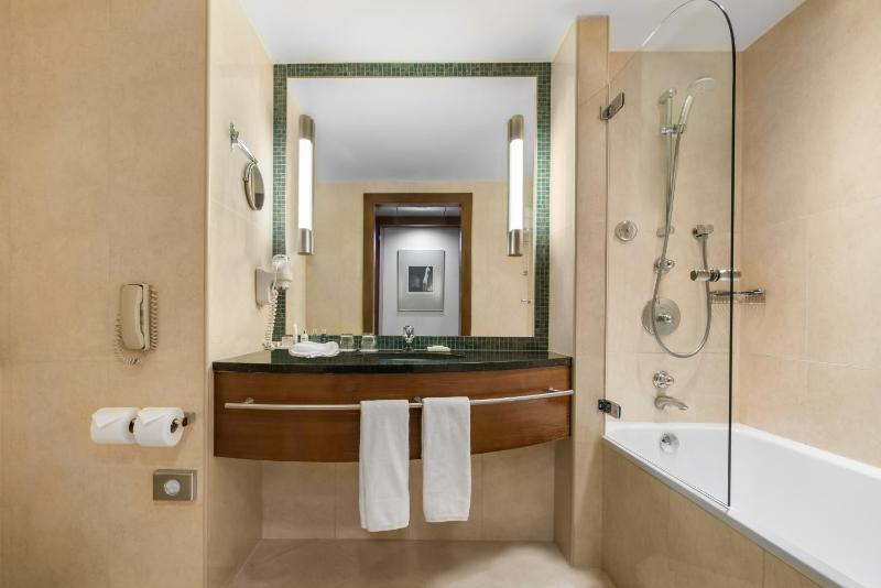 Premium Room with Park View image 4