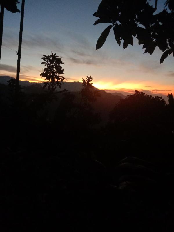 Charming View Homestay - image 50