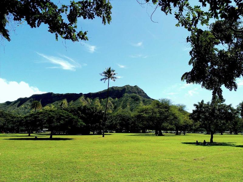 Diamond Head Beach #805 - image 10