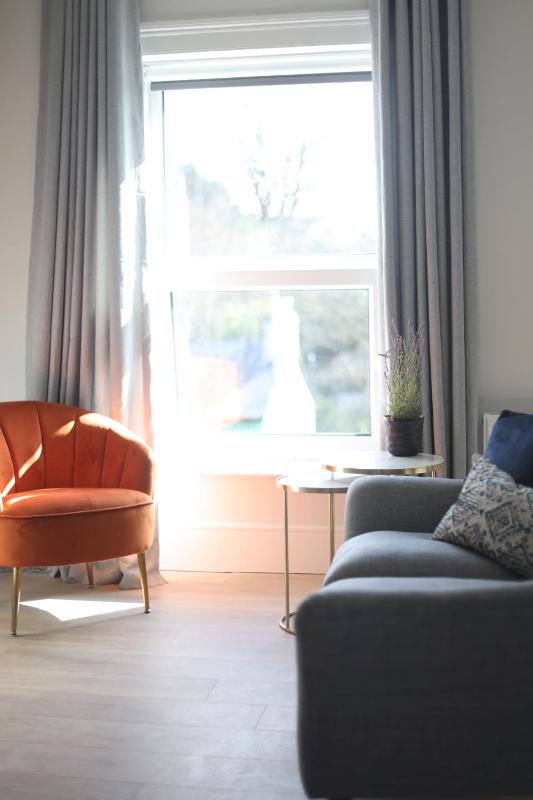 One-Bedroom Apartment image 2