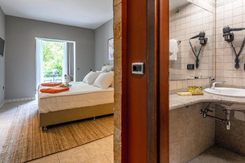 Standard  Twin or Double Room image 2