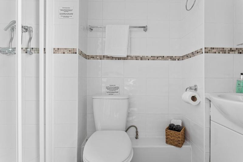 The Belmont - image 47