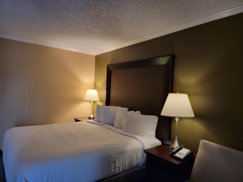Deluxe Room with a King Bed - Non-Smoking image 3