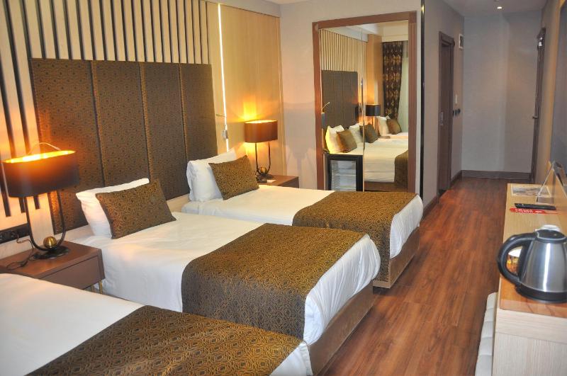 Superior Triple Room image 2