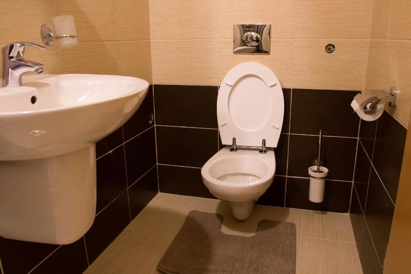 One-Bedroom Apartment image 4