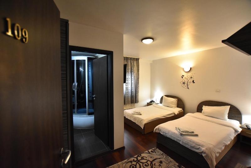 Standard Twin Room image 4