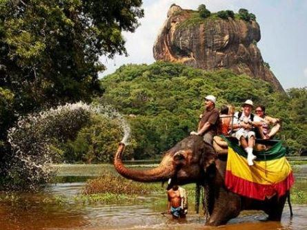 Hidden Lake Cottages Sigiriya - image 14