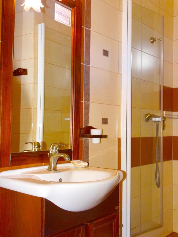 One-Bedroom Apartment image 3