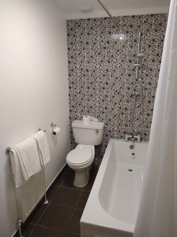 Standard Twin Room image 3