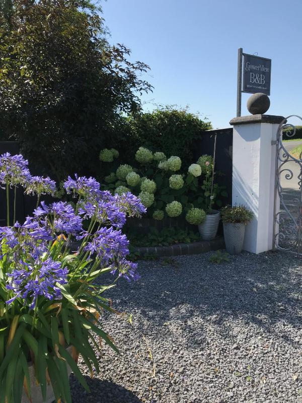 Gower View Luxury Bed & Breakfast - image 11