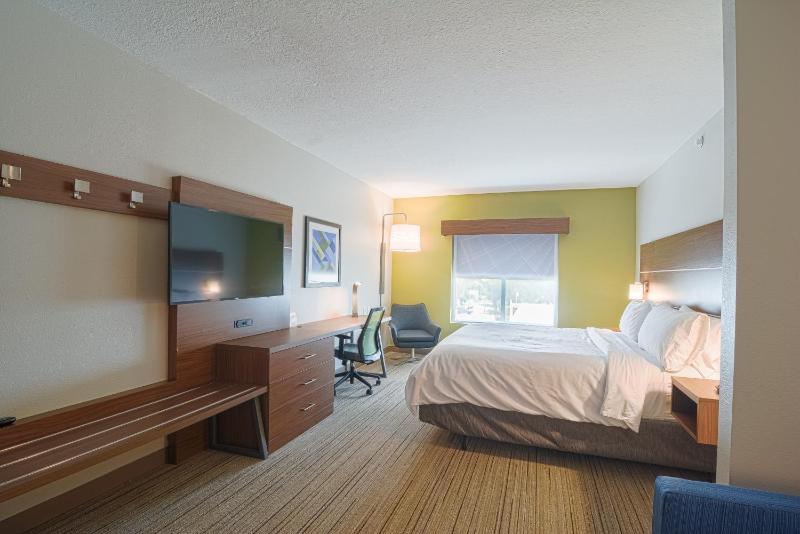 Holiday Inn Express Hotel & Suites Tampa-USF-Busch Gardens By IHG - image 30