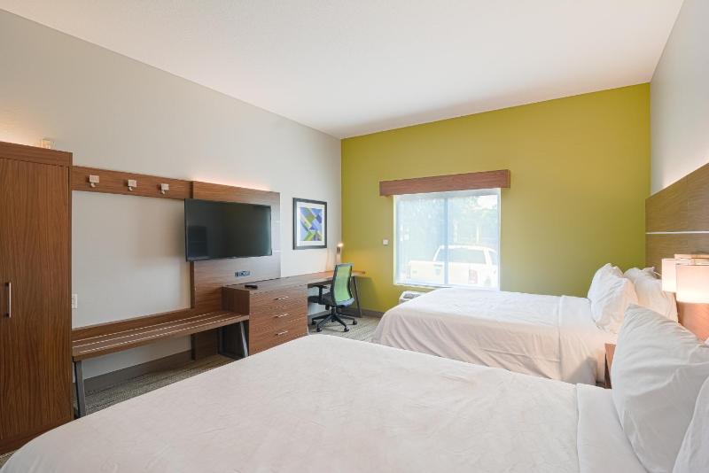 Holiday Inn Express Hotel & Suites Tampa-USF-Busch Gardens By IHG - image 25