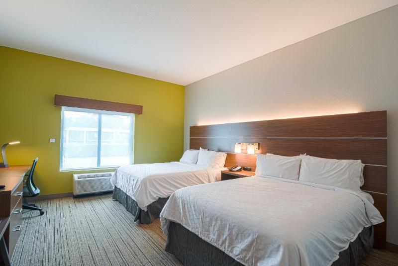 Holiday Inn Express Hotel & Suites Tampa-USF-Busch Gardens By IHG - image 12
