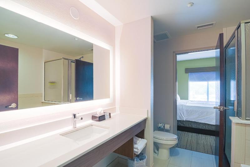 Holiday Inn Express Hotel & Suites Tampa-USF-Busch Gardens By IHG - image 2