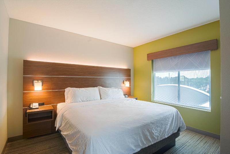 Holiday Inn Express Hotel & Suites Tampa-USF-Busch Gardens By IHG - image 49