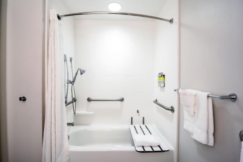 Holiday Inn Express Hotel & Suites Tampa-USF-Busch Gardens By IHG - image 47