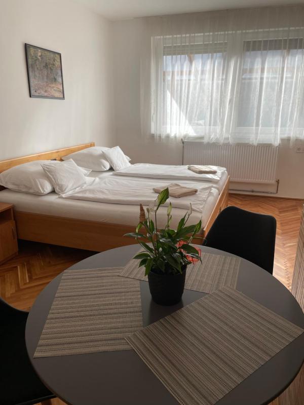 Apartment with Terrace image 1