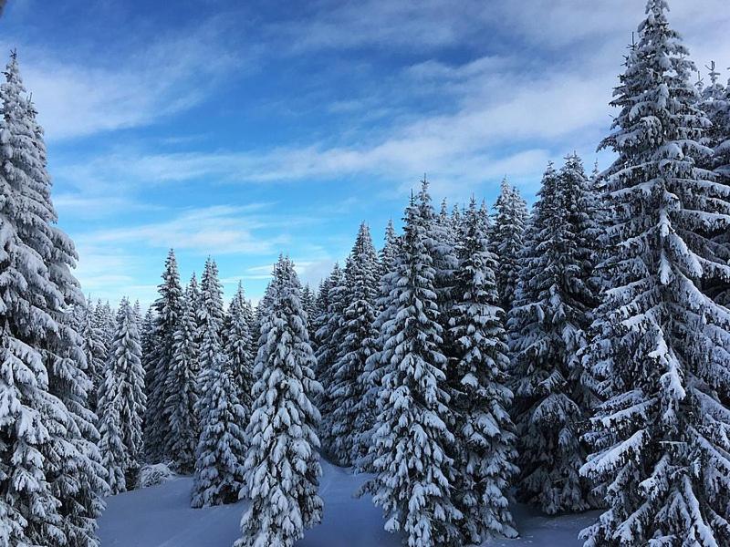 Sunset View Ski & Spa apartments Kopaonik - image 3