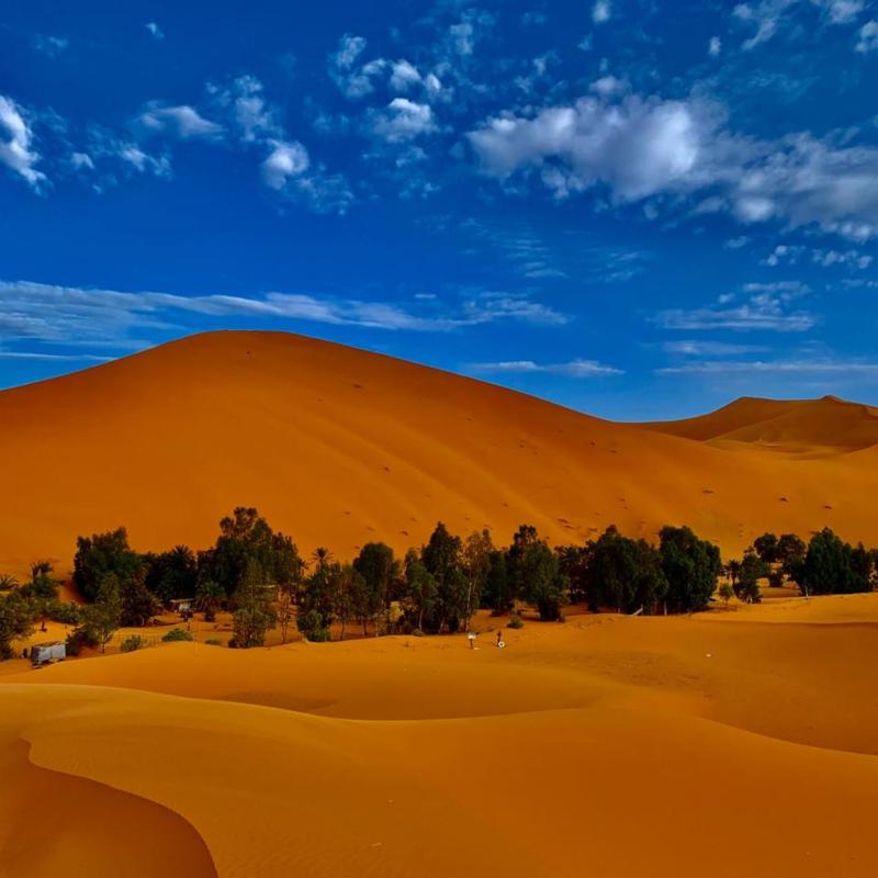 Deep Desert Camp - image 38