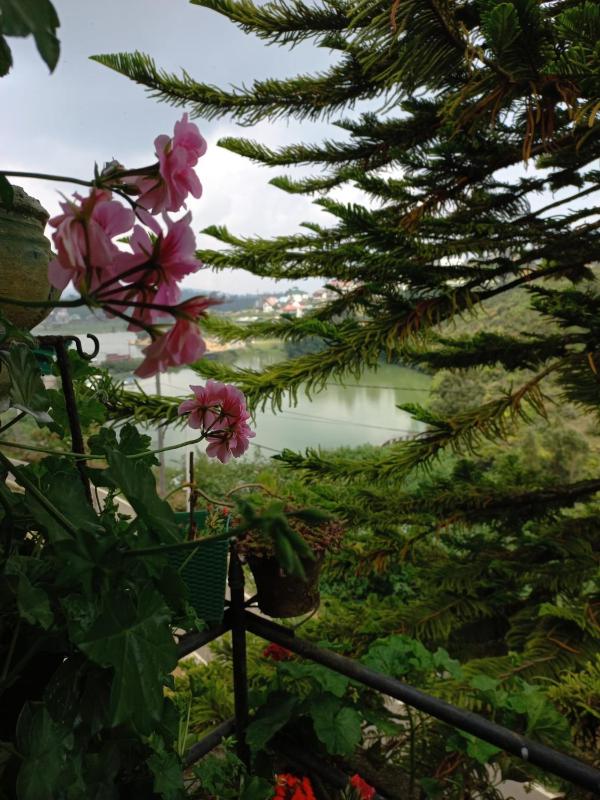 Lake Breeze - image 6
