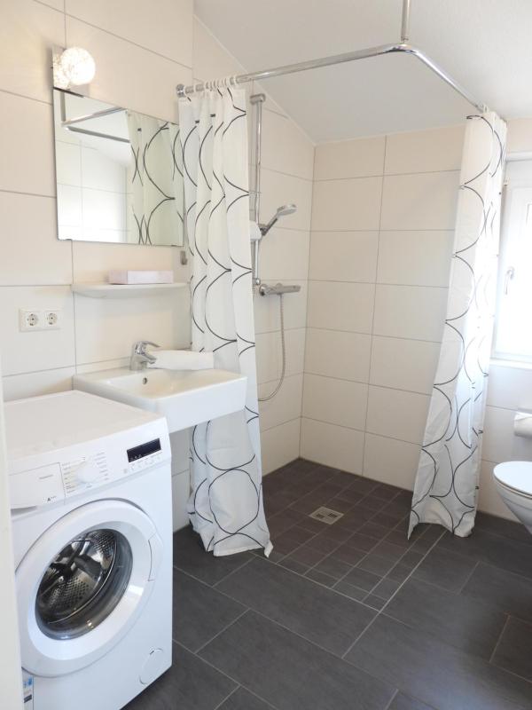One-Bedroom Apartment image 2