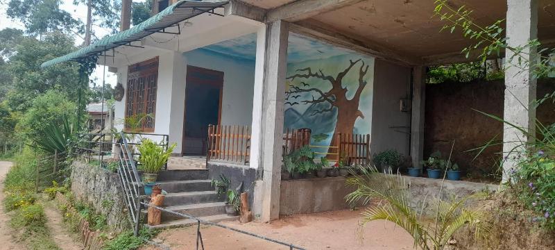 White Arcadia cottage - image 7