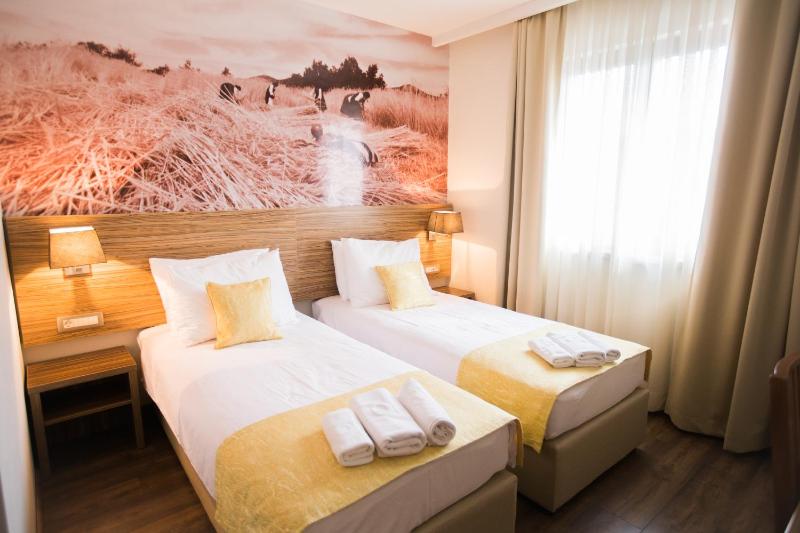 Double or Twin Room image 4